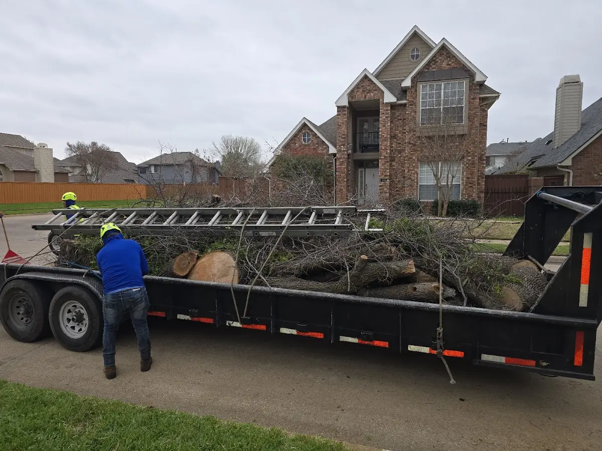 Expert Tree Fertilization with proper safety equipment in Humboldt